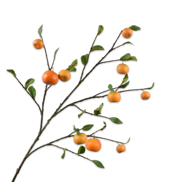 Artificial orange fruit branch with leaves on a white background by Silk-ka available at Spacio retail stores in Mumbai & Kolkata.  