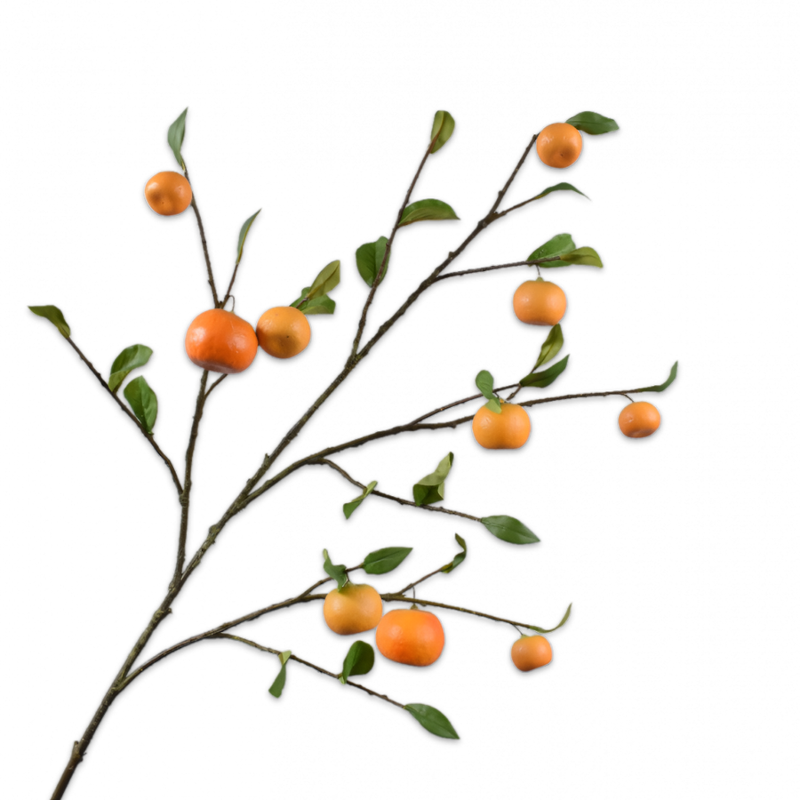 Artificial orange fruit branch with leaves on a white background by Silk-ka available at Spacio retail stores in Mumbai & Kolkata.  