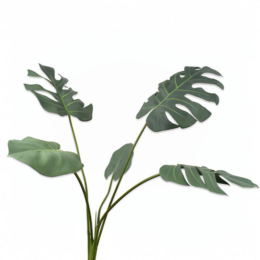 Artificial Monstera green leaves on a white background by Silk-ka available at Spacio retail stores in Mumbai & Kolkata.  