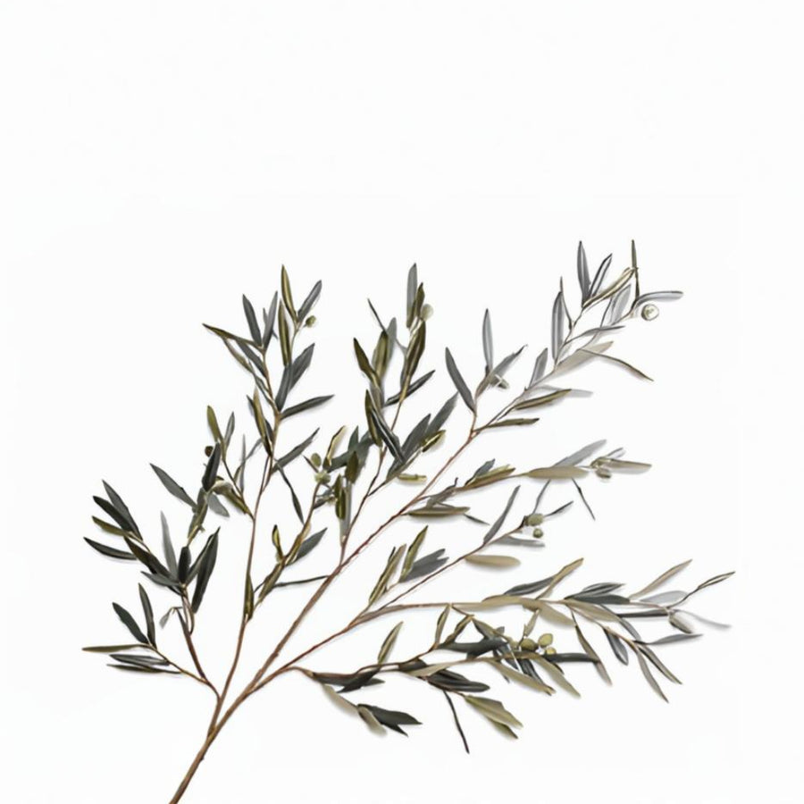 Artificial olive branch on a white background by Silk-ka available at Spacio retail stores in Mumbai & Kolkata.  