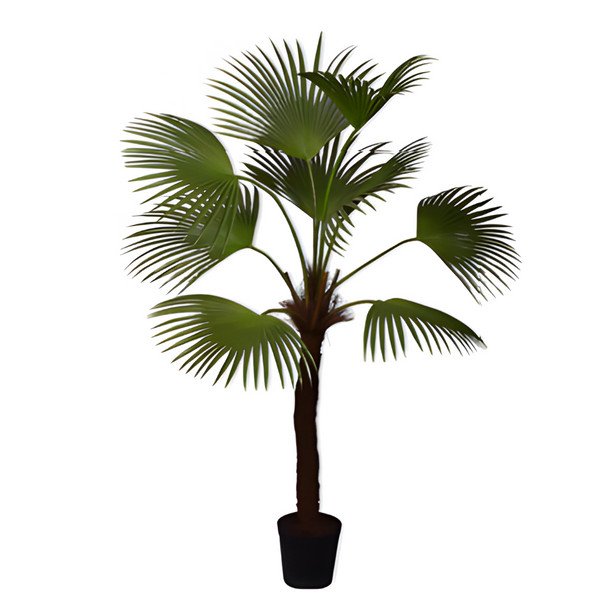 Potted palm tree on a white background by Silk-ka available at Spacio retail stores in Mumbai & Kolkata.  