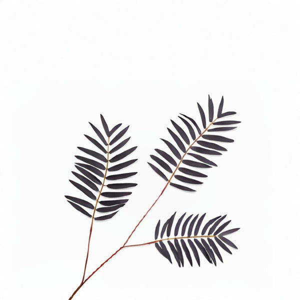 Black leaf branch on a white background by Silk-ka available at Spacio retail stores in Mumbai & Kolkata.  