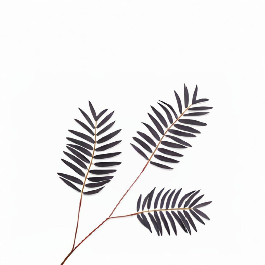 Black leaf branch on a white background by Silk-ka available at Spacio retail stores in Mumbai & Kolkata.  