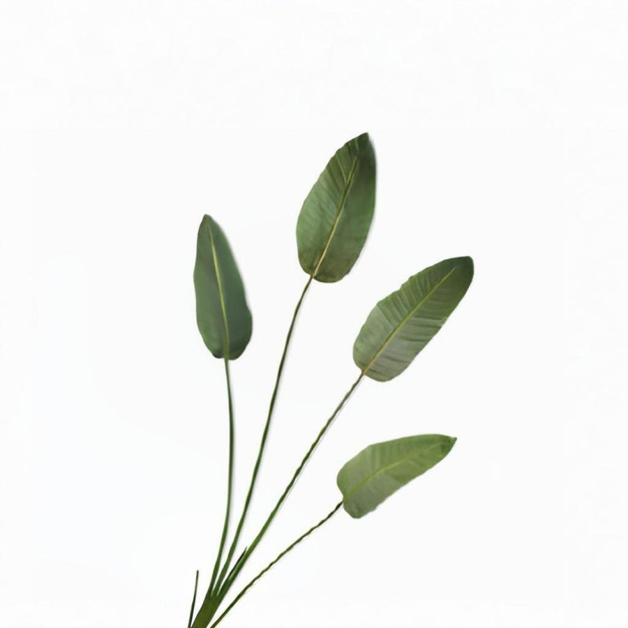 Strelitzia Green 179