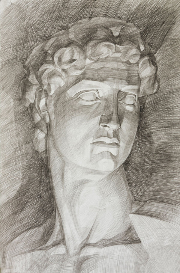 Charcoal fresco mural of Michelangelo's David, crafted on Italian plaster with Carrara marble and travertine powder, showcasing timeless classical beauty.
