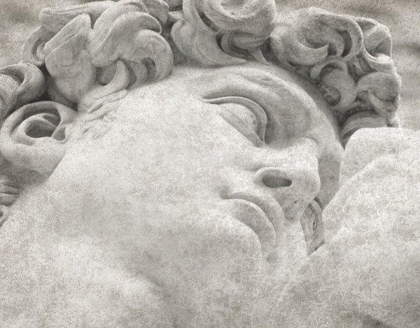 Close-up fresco mural of Michelangelo's David, crafted with Italian plaster using Carrara marble and travertine powder, showcasing intricate classical details.