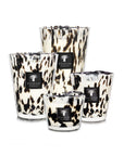 A set of Baobab Black Pearls Candle Max 16 MAX16PB, perfect for adding an exotic touch to any space.