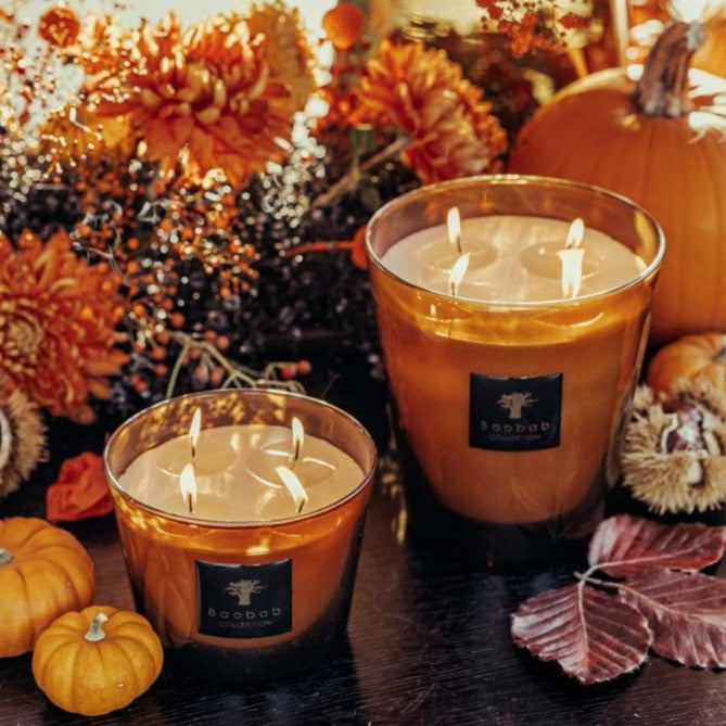 A table adorned with Baobab Cuir De Russie Candle Max 10 MAX10CUR scented candles and pumpkins.