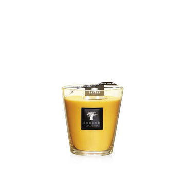 A Baobab Zanzibar Candle Max 16MAX16AZS in a glass, emitting the fragrance of Zanzibar Spices, on a white background.