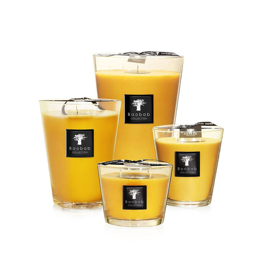 A group of yellow Baobab Zanzibar Spices scented candles on a white background.