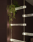 A mesmerizing lighting fixture, the Italamp Piola, features a glass shelf adorned with a lush plant hanging delicately from it. The cast glass bars add an exquisite touch to this unique Italamp Piola.