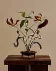 A minimalist floral arrangement featuring dark burgundy lilies, green leaves, and a dark purple textured stem in a small bronze-colored metal bowl vase, displayed on a dark wooden pedestal against a warm beige background.