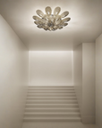 Sylcom Gabbiano Ceiling Spacio India
