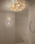 Sylcom Mocenigo Ceiling Chandelier Spacio India