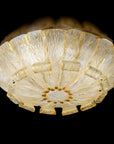 Sylcom Tribuno Ceiling Chandelier Spacio India