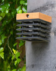Solar light attached to a tree trunk with green leaves in the background  by Les Jardins available at Spacio in India. 