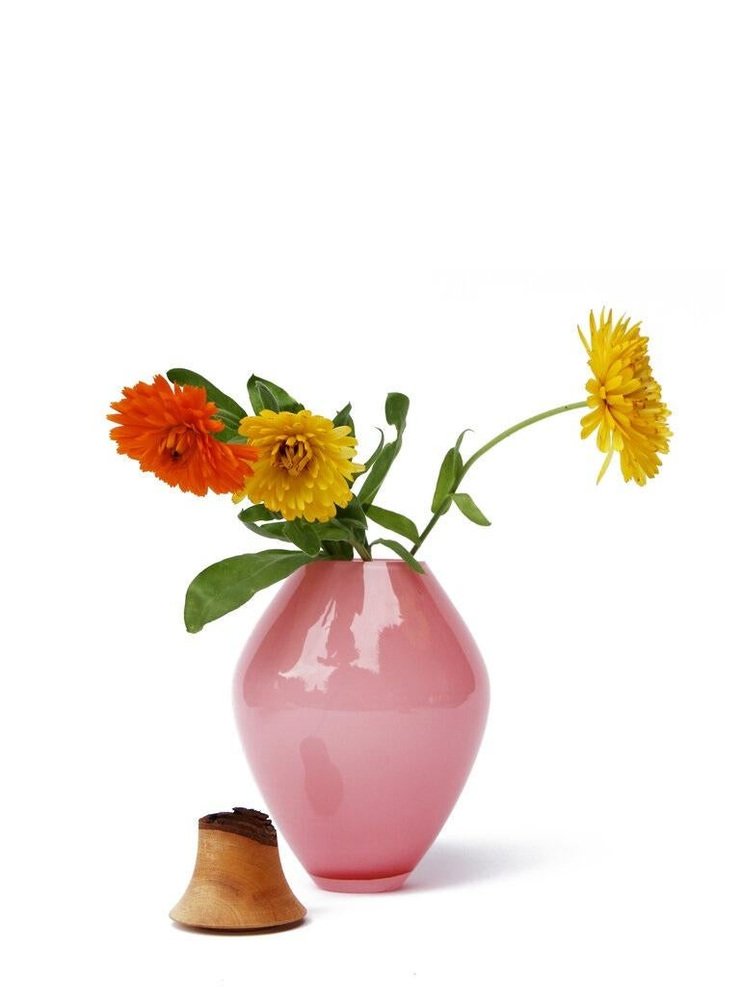 Pink vase with flowers on a white background