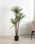 Yucca 3 Branch