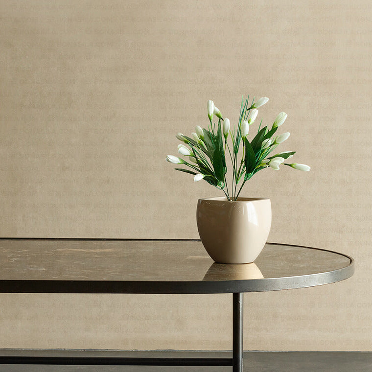 Potted plant on a modern black metal table against a beige wall