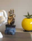 Tamos Indoor & Outdoor Table Top Planter | Spacio