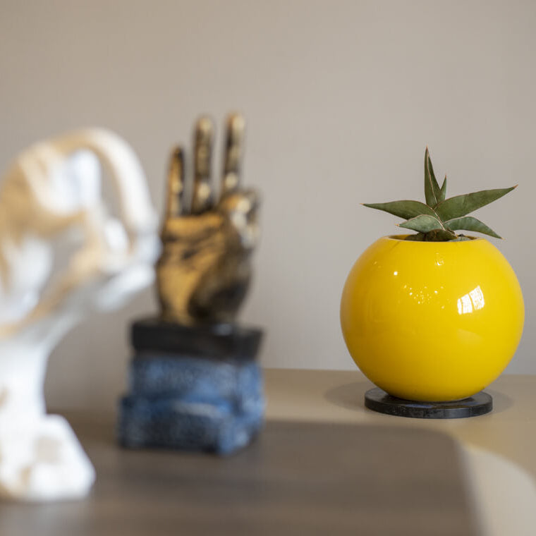 Tamos Indoor & Outdoor Table Top Planter | Spacio