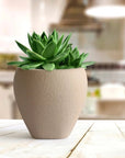 Tanar Indoor & Outdoor Table Top Planter | Spacio