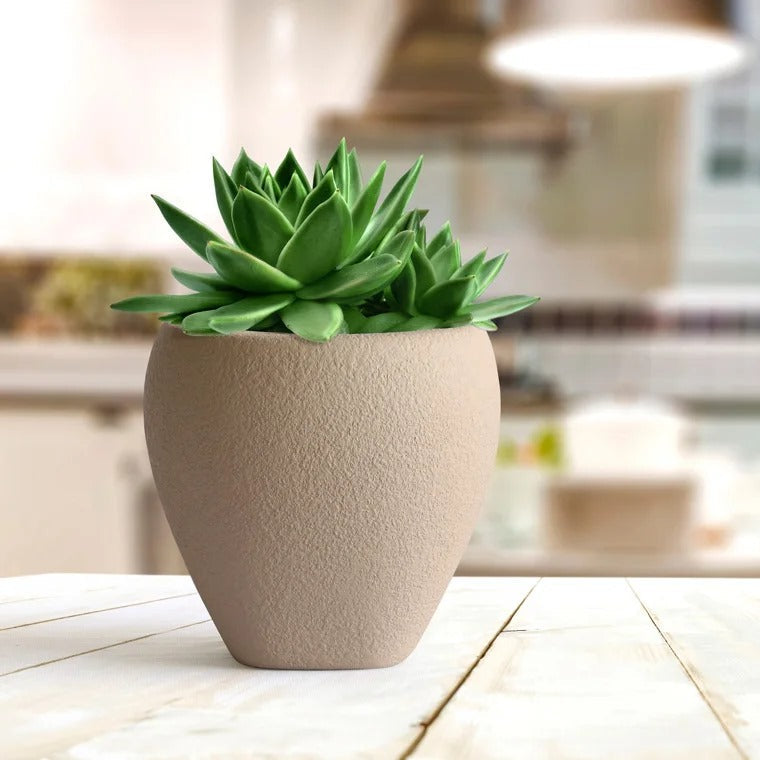 Tanar Indoor & Outdoor Table Top Planter | Spacio