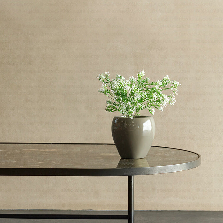 Potted plant on a table against a beige wall