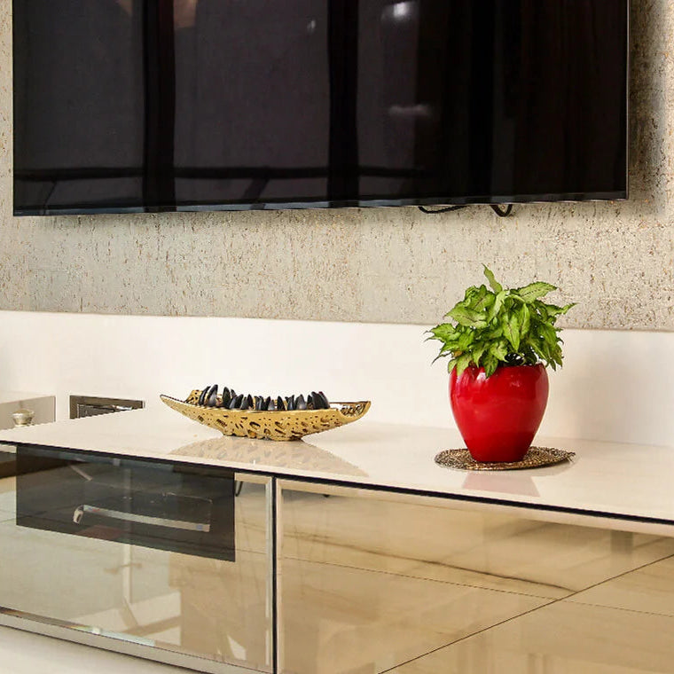 Modern living room with a TV mounted on the wall, a decorative plant, and a small sculpture.