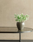 Potted plant on a table against a beige wall