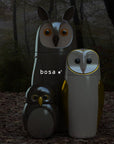 Three Bosa Barns The Owls standing in a wooded area, part of the Owls collection.