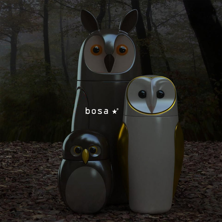 Three Bosa Barns The Owls standing in a wooded area, part of the Owls collection.