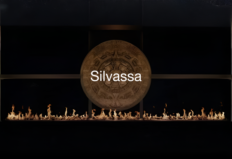 Luxury indoor and outdoor fireplaces in Silvassa by Spacio including water vapour, LED, bioethanol and gas fireplaces
