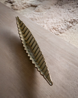 Gardeco Luxury Glass Ipe Seed Platter on a table for modern interiors available at Spacio India from Decor Accessories collection.