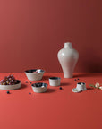Ibride Ming Lin Muse seven pieces stackable set on a red table surface with other food ingredients available at Spacio India for luxury home decor of collection Tableware Accessories 