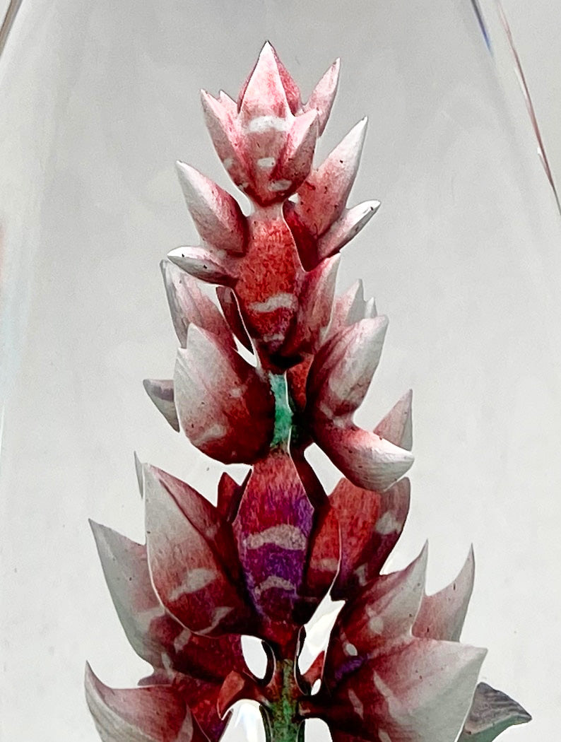 Closeup of Maleras Crystal Sculpture Orchid Red on a white background, available at Spacio India from the Sculptures and Art Objects Collection
