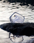 Swan