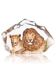 Maleras Crystal Sculpture The Big Five Lion Limited Edition on a white back ground available at Spacio India from the Sculptures and Art Objects Collection.