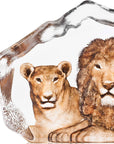 Left side look Maleras Crystal Sculpture The Big Five Lion Limited Edition on a white back ground available at Spacio India from the Sculptures and Art Objects Collection.