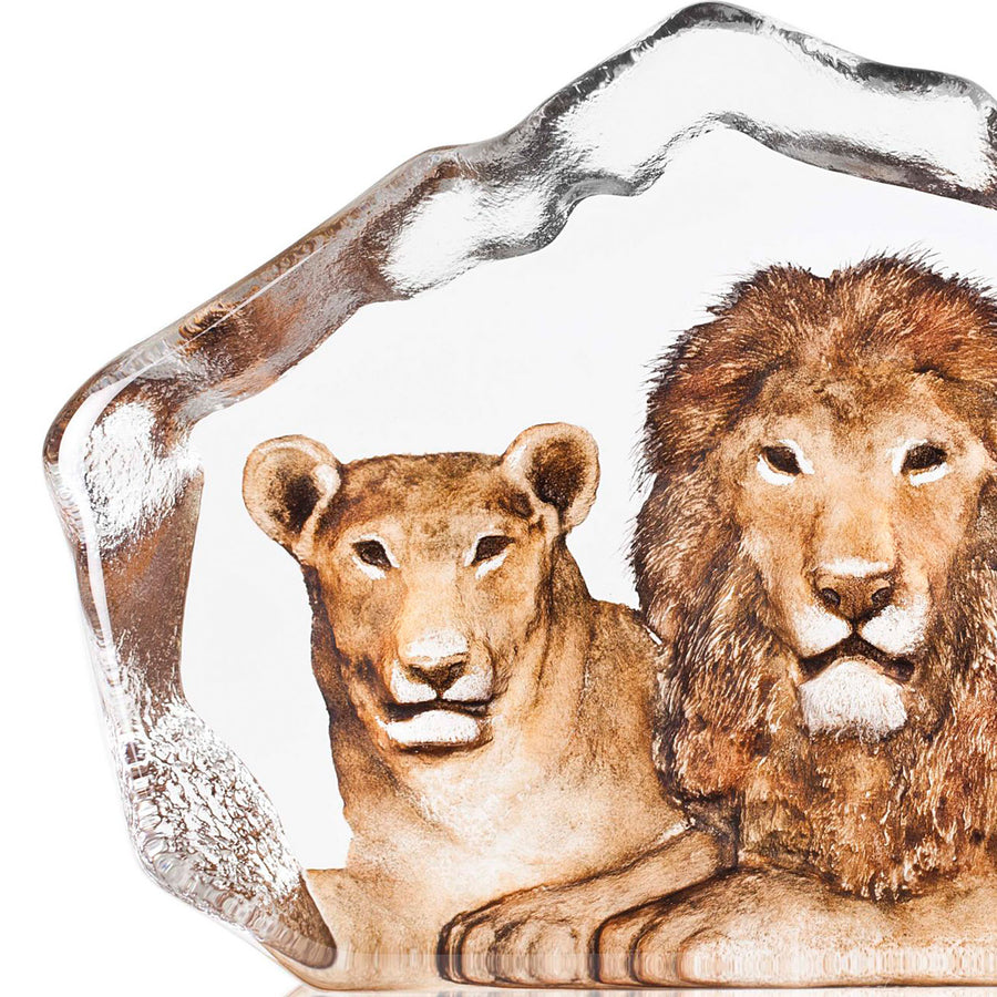 Left side look Maleras Crystal Sculpture The Big Five Lion Limited Edition on a white back ground available at Spacio India from the Sculptures and Art Objects Collection.