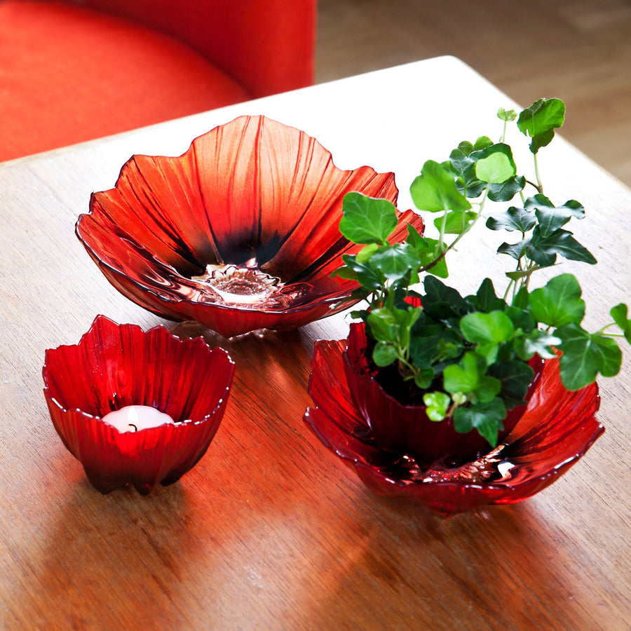 Maleras Crystal Poppy Red Black Medium Bowl with other size bowls on coffee table in modern interiors available at Spacio India from Decor Accessories and Tableware Collection of Decorative Bowls.