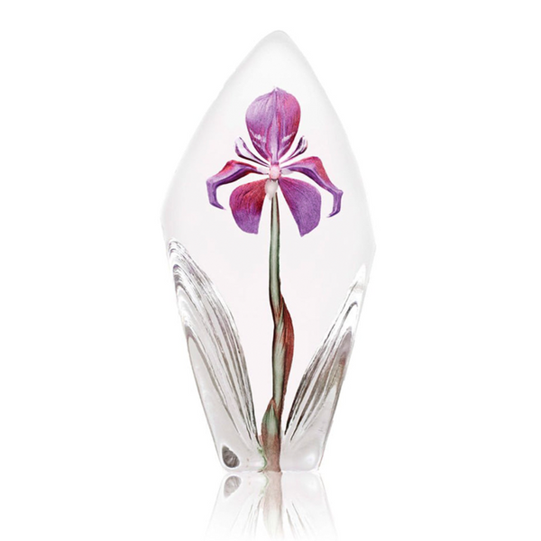Maleras Crystal Sculpture Acarena Large Purple on a white background, available at Spacio India from the Sculptures and Art Objects Collection
