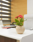 Modern office desk with laptop, books, and a flower vase under striped window blinds.